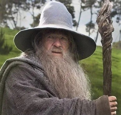 Gandalf the Grey from Lord of the Rings