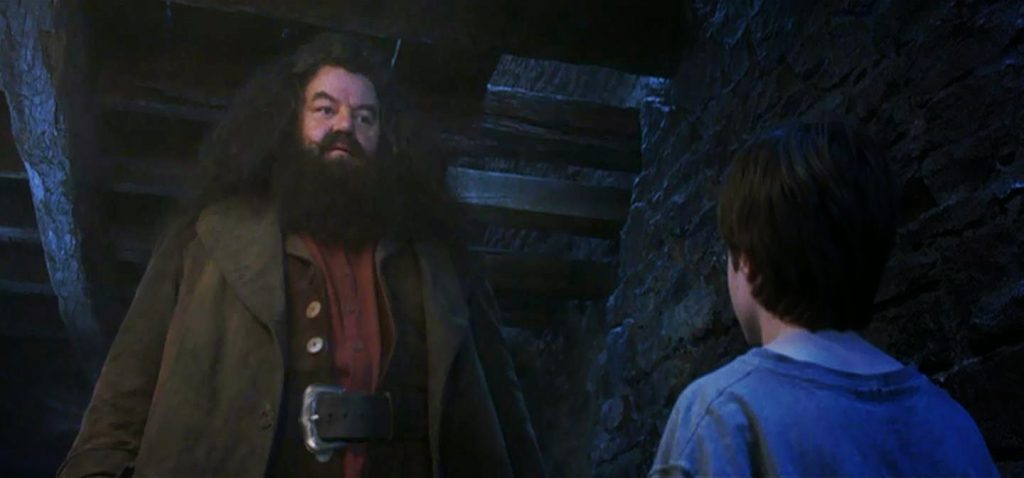 Hagrid Talking to Harry Potter Low Angle