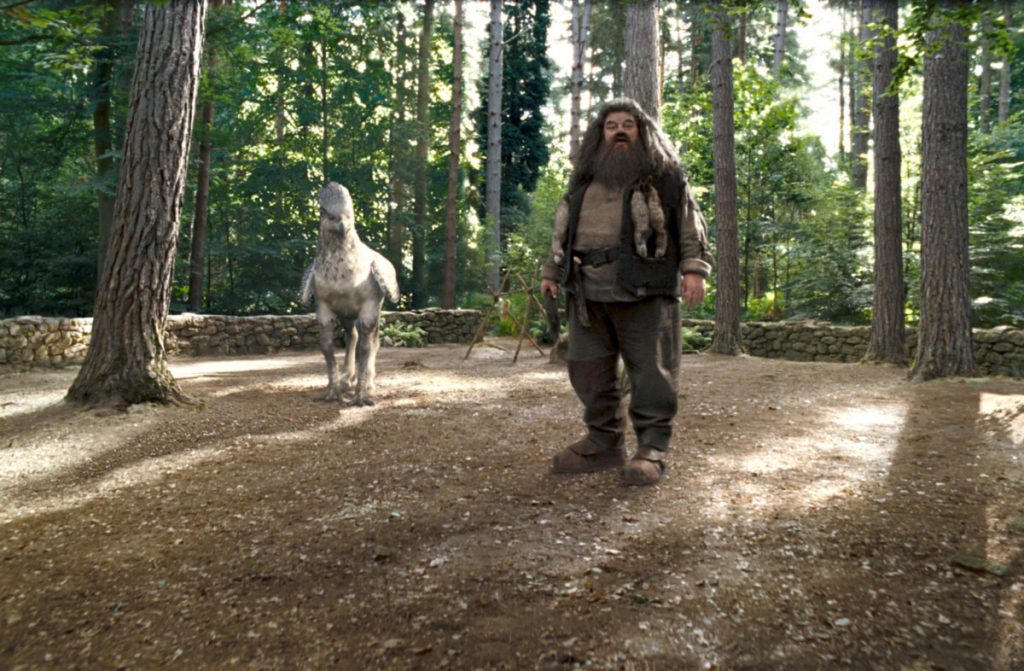 Hagrid and a Hippogriff