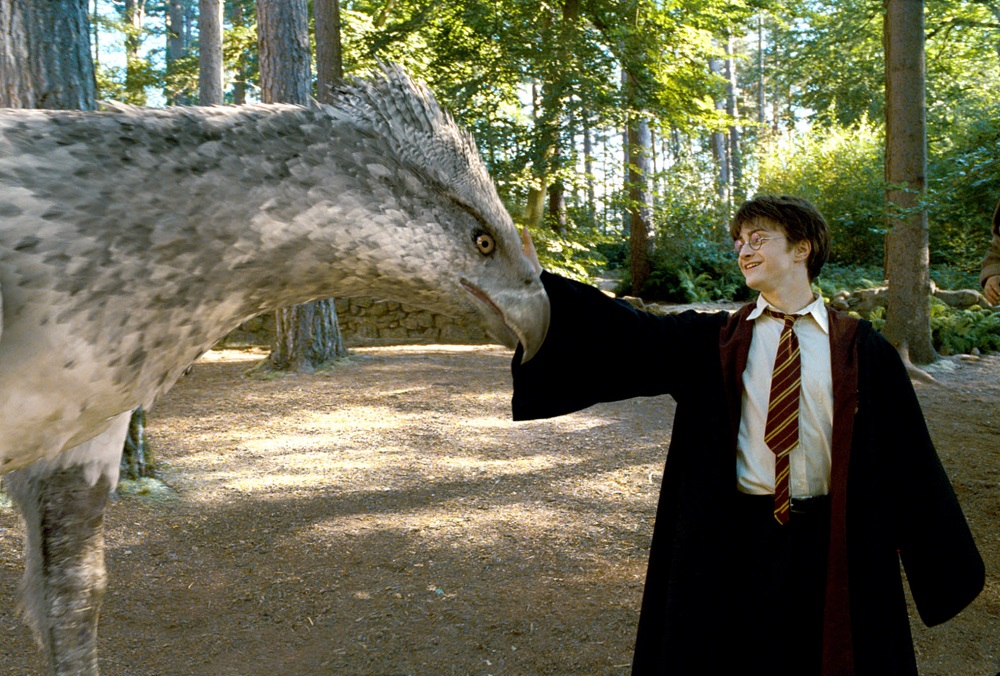 Harry Potter with Buckbeak the Hippogriff