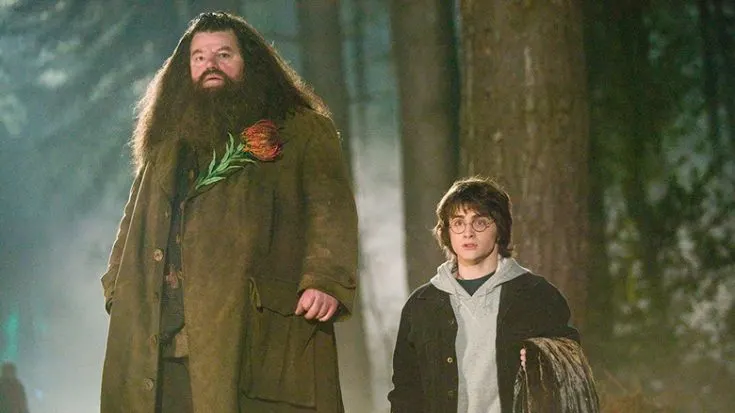 How Do They Make Hagrid So Tall How Did They Make Hagrid So Big in Harry Potter?