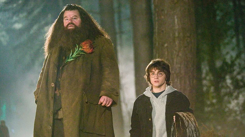 how tall is hagrid from harry potter , where to watch the harry potter movies