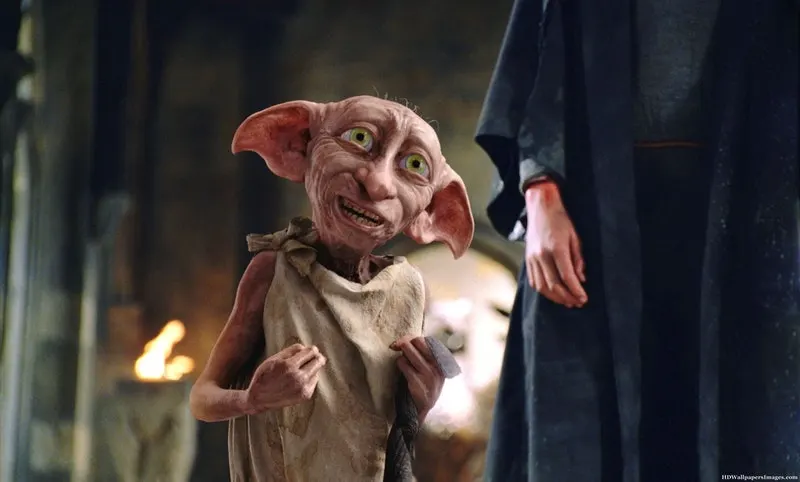Master Has Given Dobby a Sock Quote Meaning