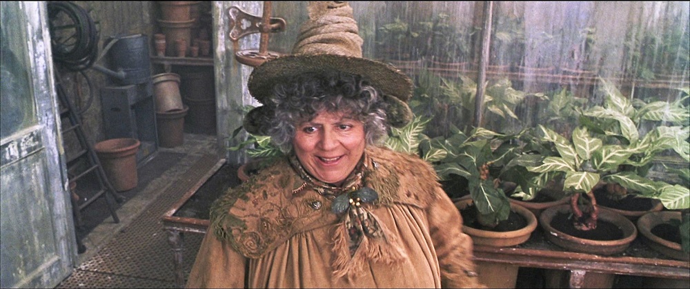 Professor Pomona Sprout from Hufflepuff
