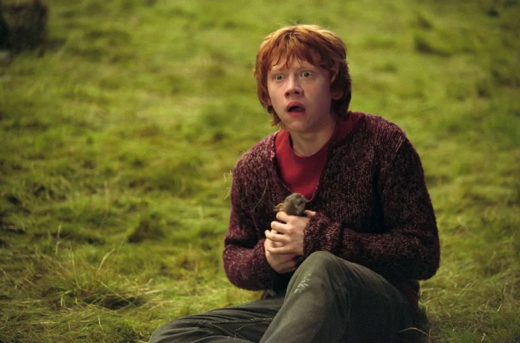 Ron Weasley Zodiac Sign and Birth Chart Meanings