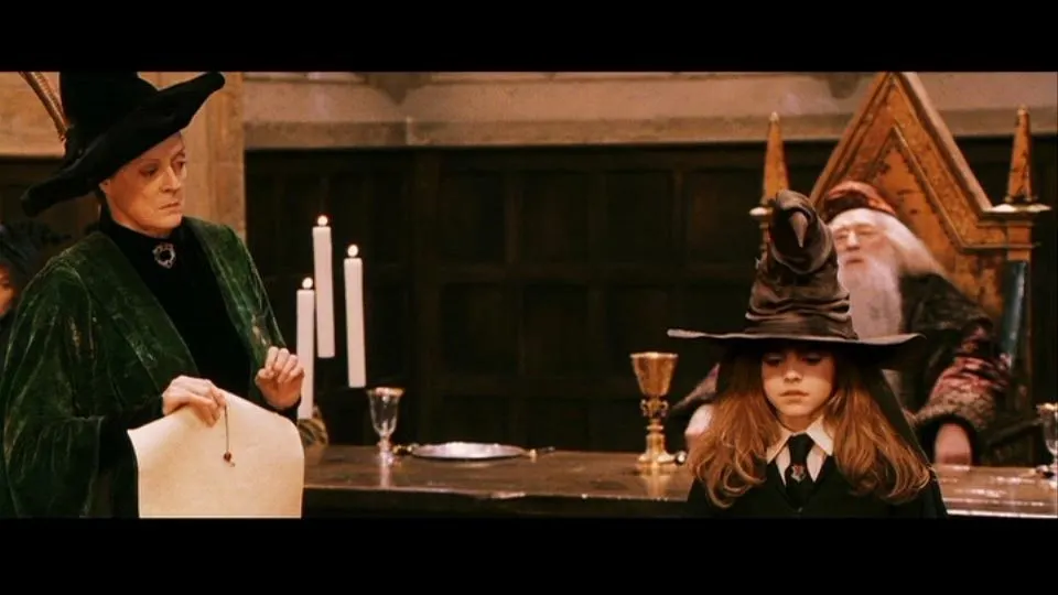 Sorting Hat Hermione Granger Gryffindor
