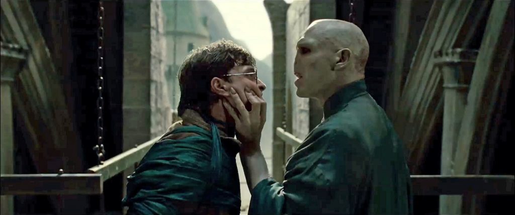 Voldemort and Harry Potter Deathly Hallows