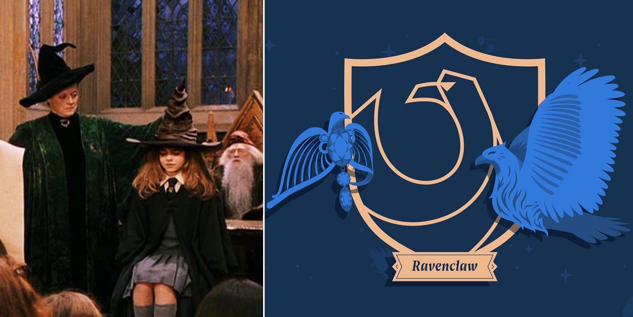 Why Wasn't Hermione Granger in Ravenclaw - Sorting Hat