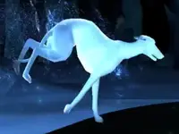 Deerhound Patronus