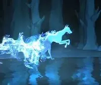 Ibizan Hound Patronus