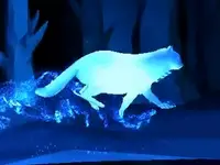 Nebelung Cat Patronus
