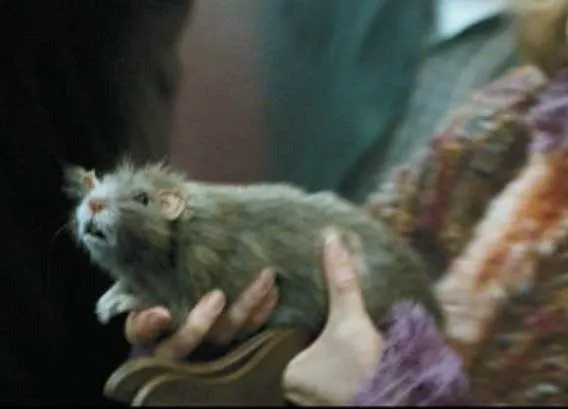 Peter Pettigrew Scabbers Rat