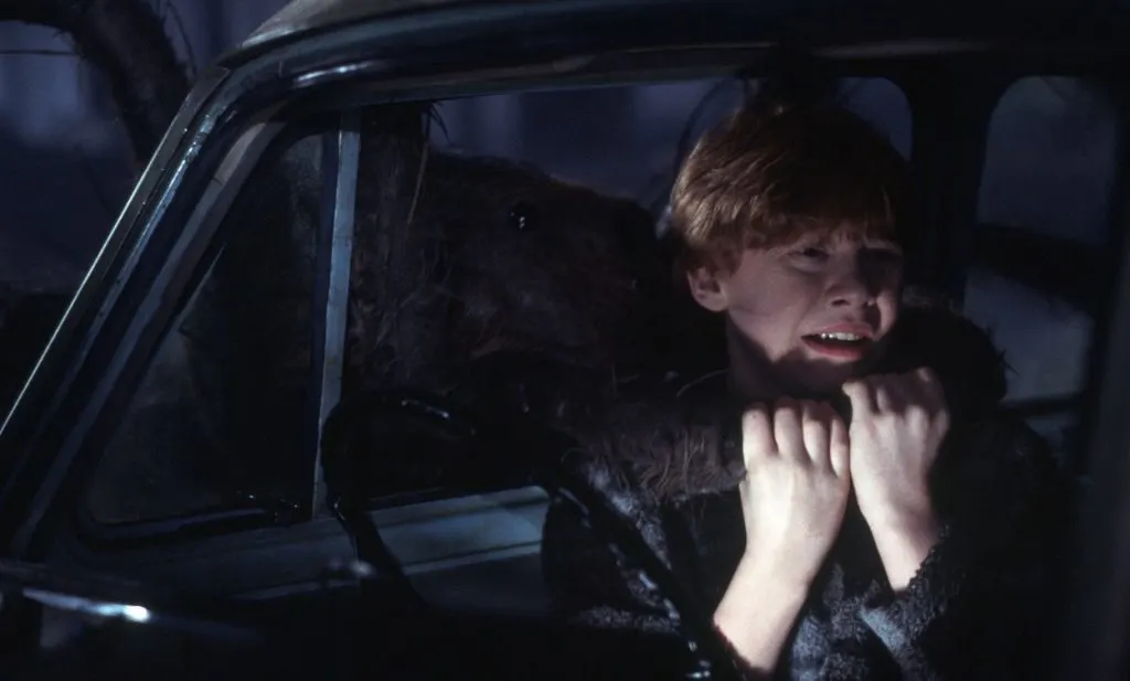Ron Weasley and Aragog