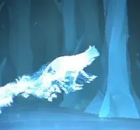 Russian Blue Cat Patronus