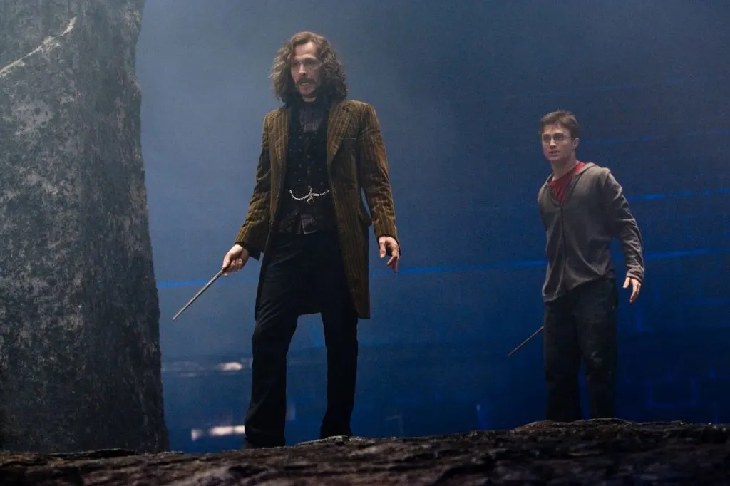 Sirius Black and Harry Potter