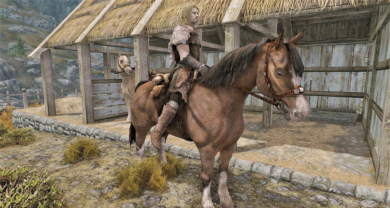 How to Call Your Horse in Skyrim & How to Get One