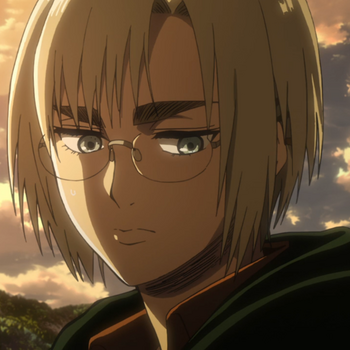 Armin height