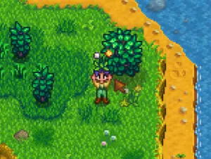 Stardew Valley Forester or Gatherer at Level 5: Best Profession?