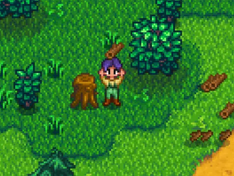 Stardew Valley: Foraging Forester