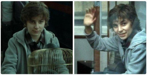 James Sirius Potter Character Analysis: A New Generation of Potters
