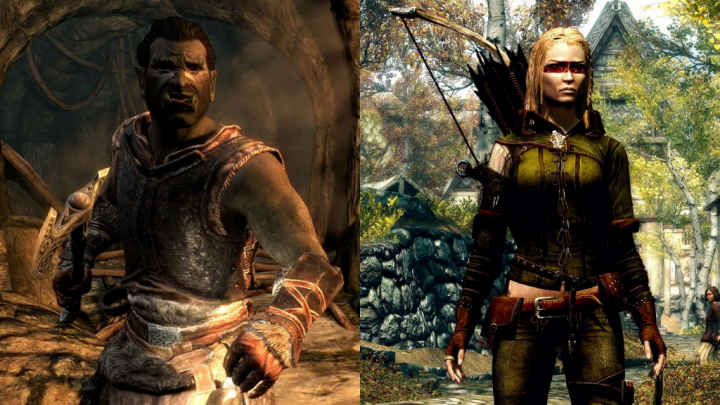 15 Best and Most Fun Skyrim Character Builds