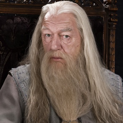 Albus Dumbledore, Head Master at Hogwarts