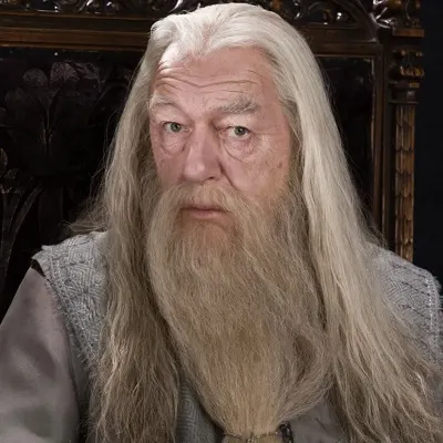 Albus Dumbledore, Head Master at Hogwarts