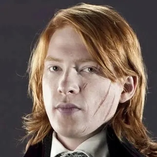 Bill Weasley, the oldest son of Arthur and Molly Weasley