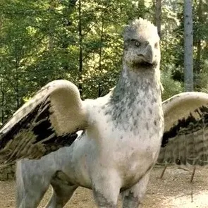 Buckbeak, magical creature from Harry Potter