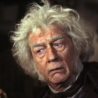 Garrick Ollivander from Harry Potter. Owner of Ollivanders wand shop in Diagon Alley