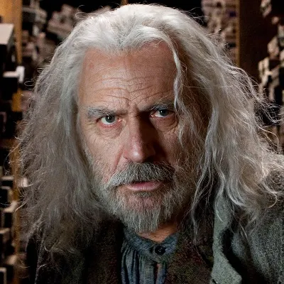 Gregorovitch, an eastern European wand maker in Harry Potter