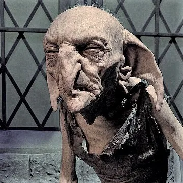 Kreacher, a house elf in Harry Potter