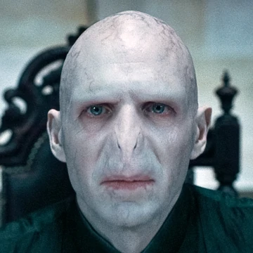 Lord Voldemort, the main bad guy in the Harry Potter movies and books