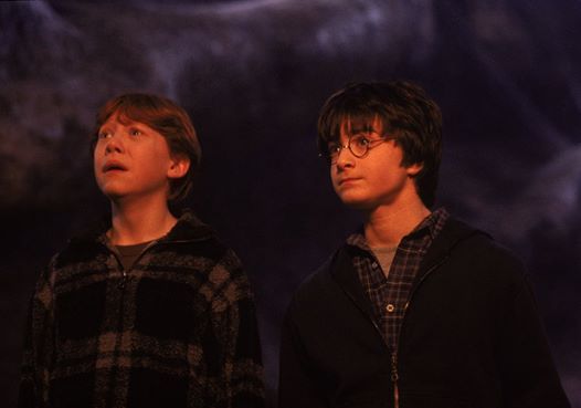 Ron Weasley and Harry Potter Seeing Aragog
