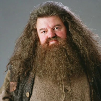 Rubeus Hagrid, character in Harry Potter
