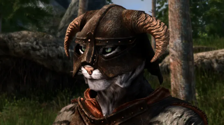 15 Best And Most Fun Skyrim Character Builds   Skyrim Unarmed Khajit 735x413 