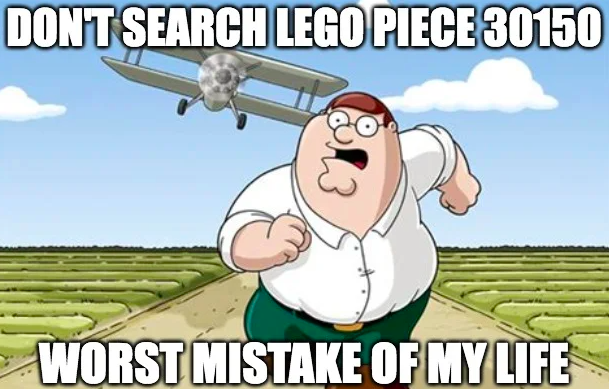 LEGO piece 26047 Meme