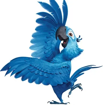 Blu, the main cartoon bird from the Rio movie