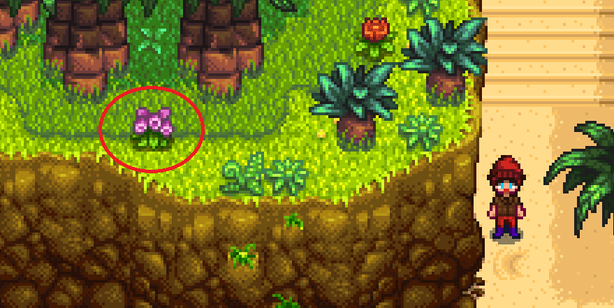 Screenshot of Stardew Valley. The player character stands beside some greenery, on which is circled a purple flower sprite.
