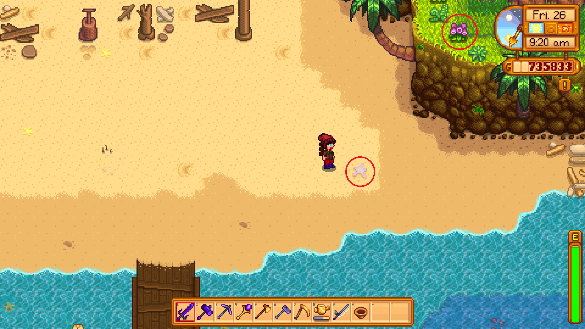 A character stands on the beach at Stardew Valley's Ginger Island, looking at a circled purple starfish.