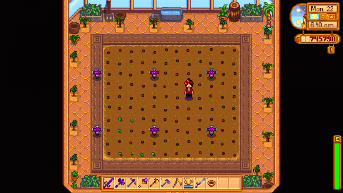 Best Greenhouse Layouts in Stardew Valley Optimal Production and Profit