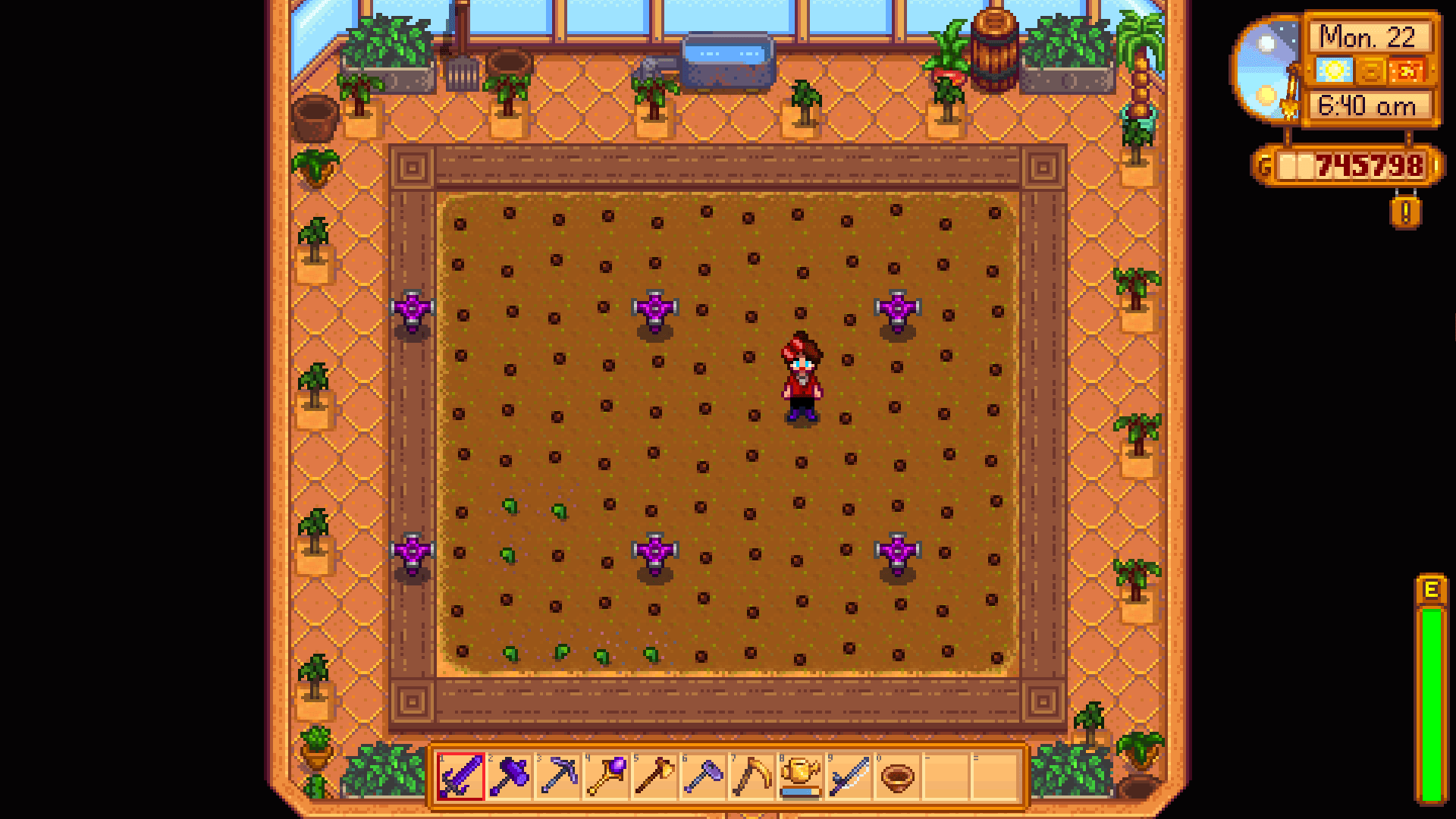 Stardew Valley optimal greenhouse setup with 18 saplngs, six Iridium sprinklers, and 116 Anient Seeds, some of which have sprouted.