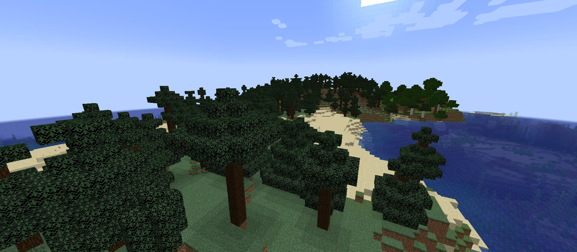 Island With Taiga Forest