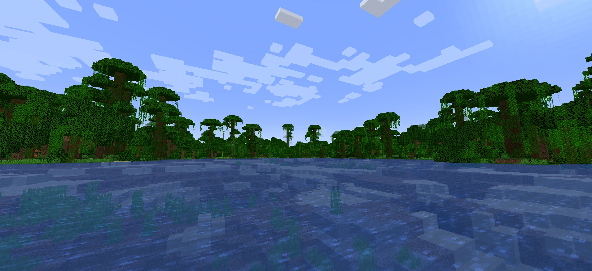Minecraft Jungle Biome With Ocean View