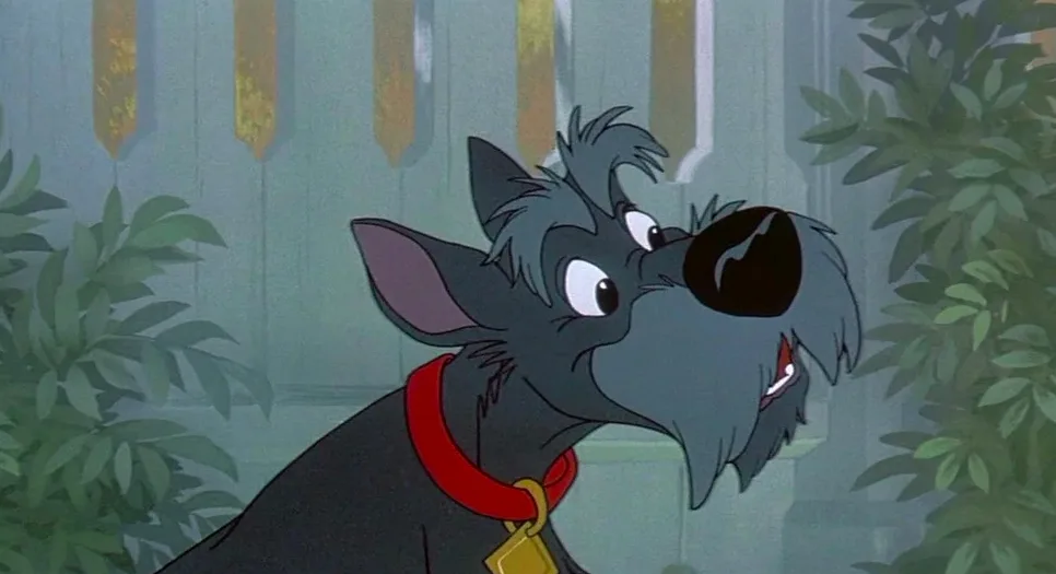 Jock (Lady and The Tramp)