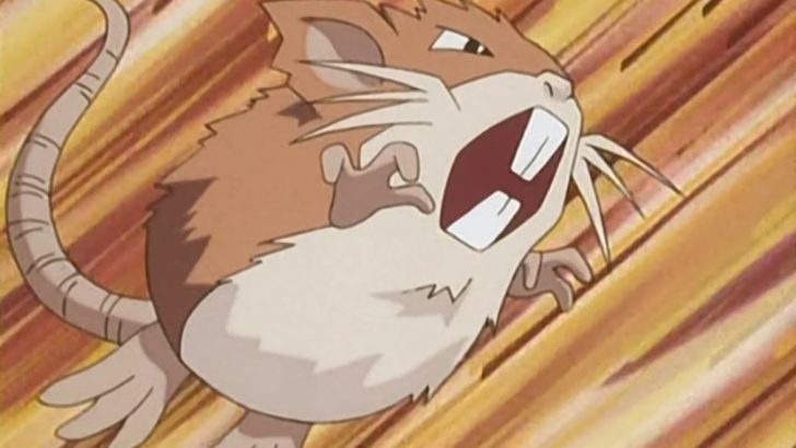 Rattata Pokemon - Normal Type Pokemon Weaknesses and Good Pokemon To Use Against Them