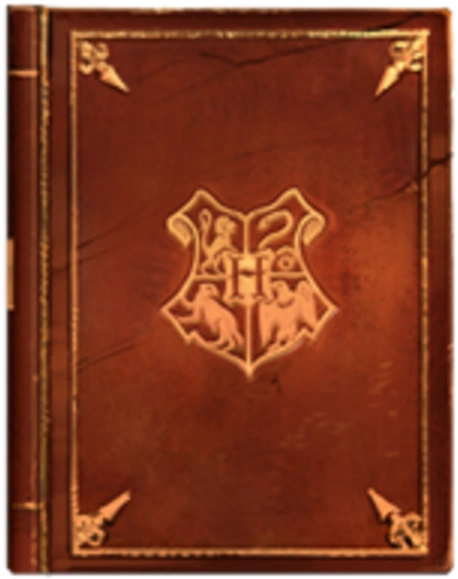 Hogwarts A History Book by Bathilda Bagshot