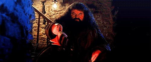 Incendio Spell (Fire-Making Spell) in Harry Potter