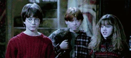 Petrificus Totalus (Full Body-Bind Curse) in Harry Potter