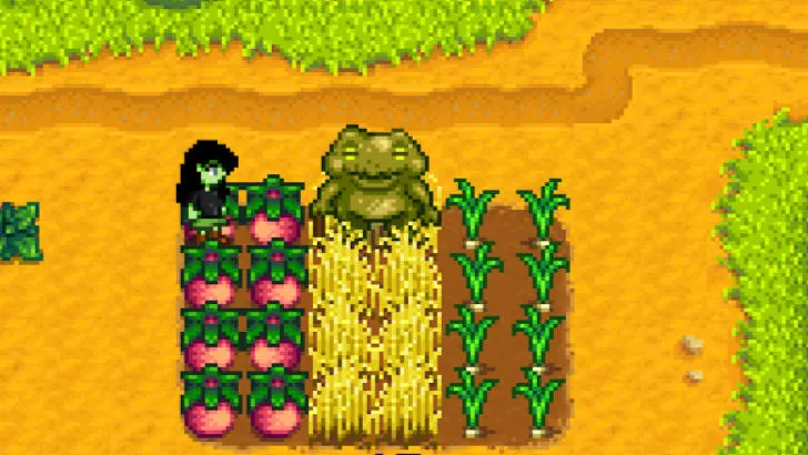 Chracter interacting with Gourmand Frog in Stardew Valley